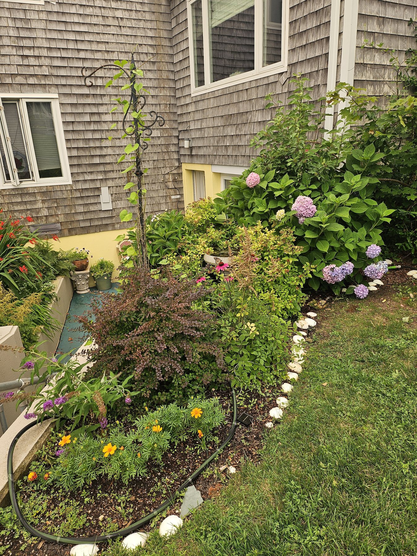 Havenside garden and building exterior